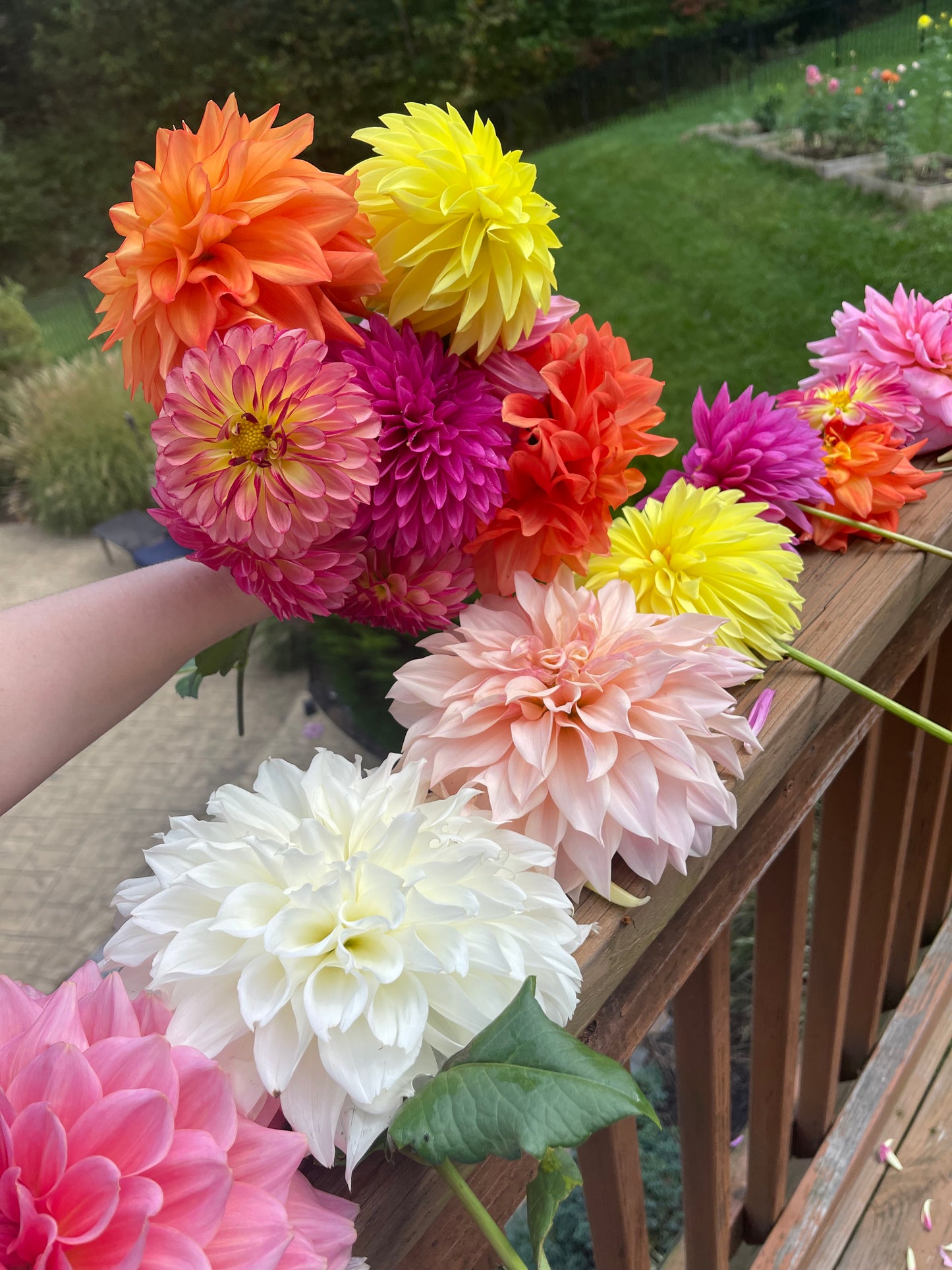 2026 Bi-WEEKLY Summer Flower Subscription (6 Bouquets)