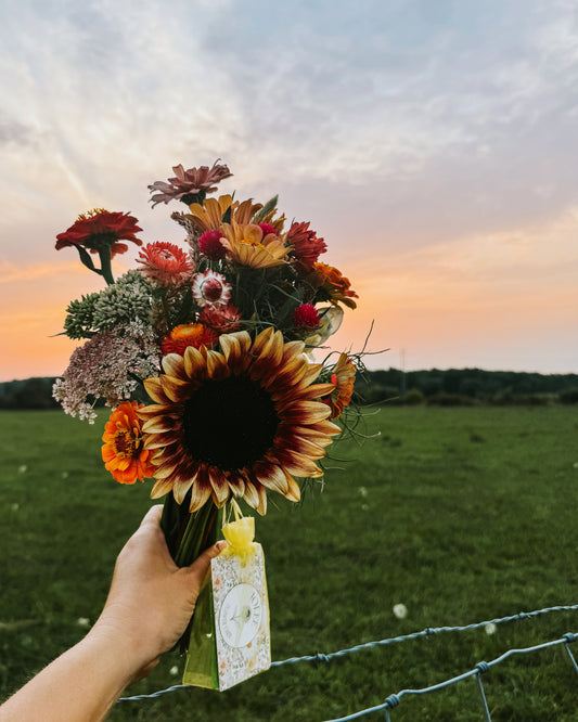 *BLACK FRIDAY SPECIAL* 2026 Bi-WEEKLY Summer Flower Subscription (6 Bouquets)