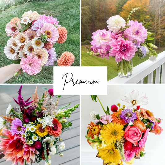 2026 FULL Summer Flower Subscription (10 Bouquets)