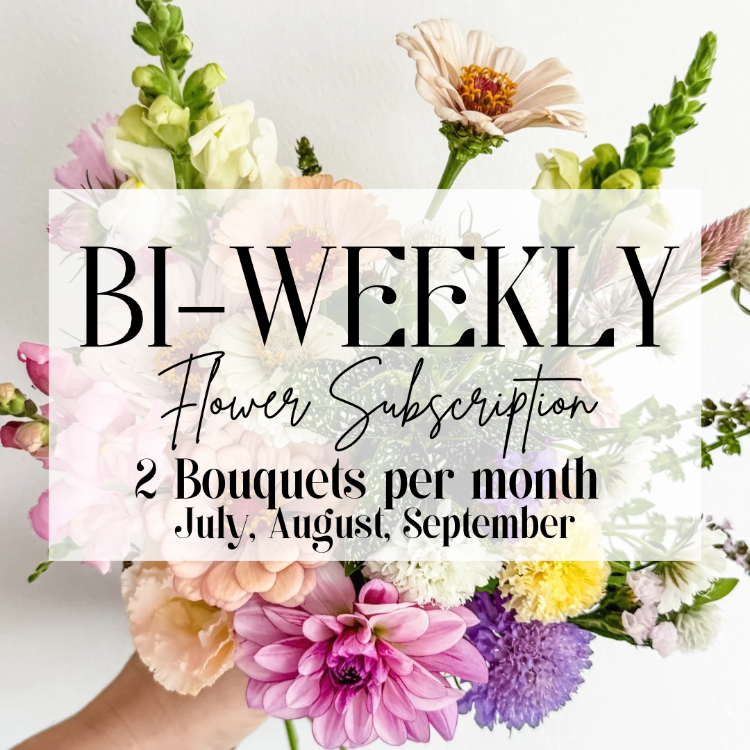 *BLACK FRIDAY SPECIAL* 2026 Bi-WEEKLY Summer Flower Subscription (6 Bouquets)