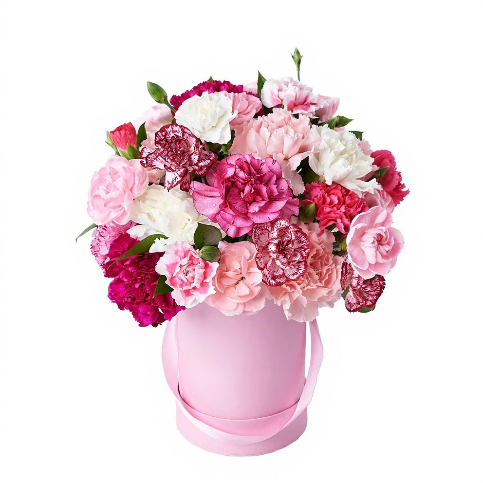 Mixed Carnation Box