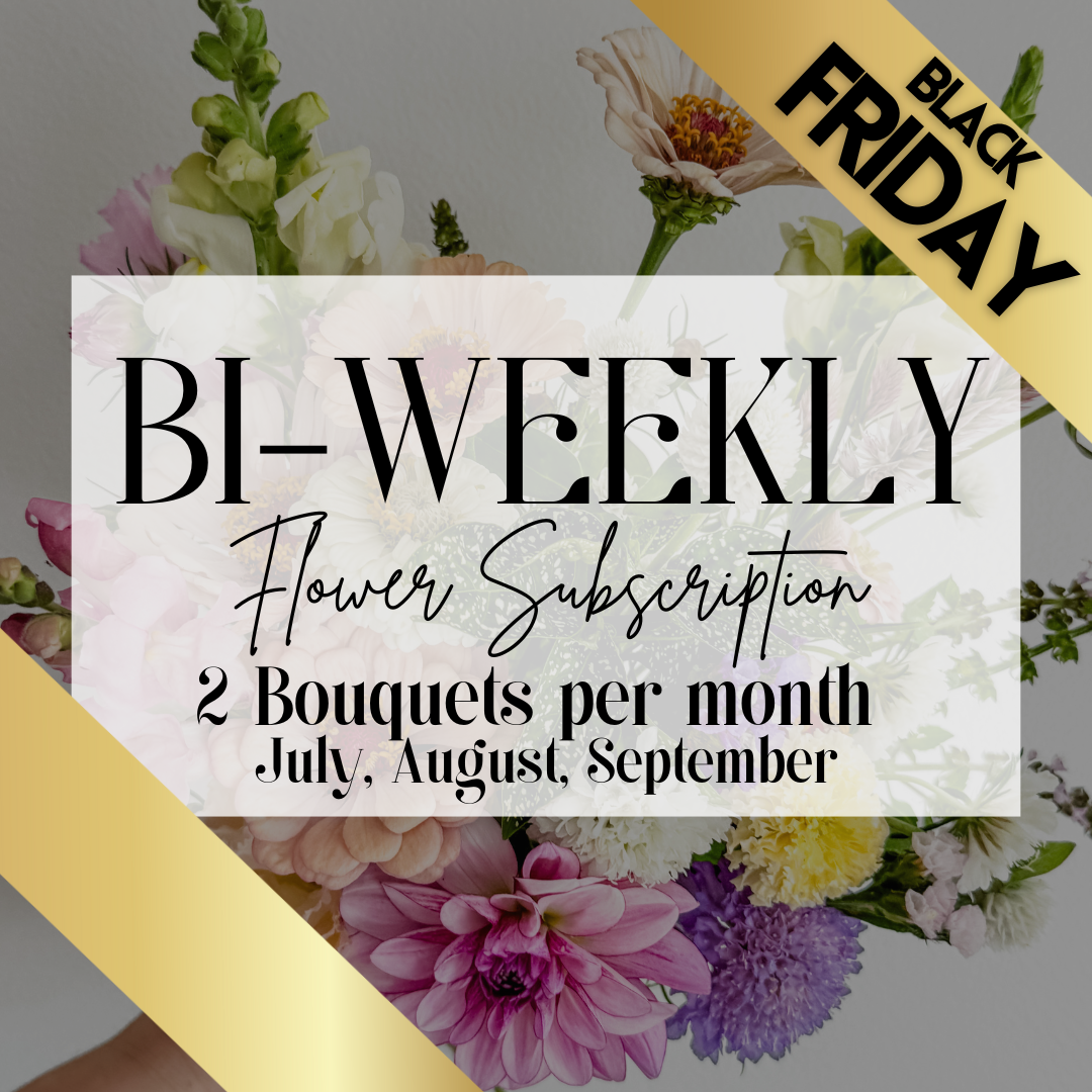 *BLACK FRIDAY SPECIAL* 2026 Bi-WEEKLY Summer Flower Subscription (6 Bouquets)