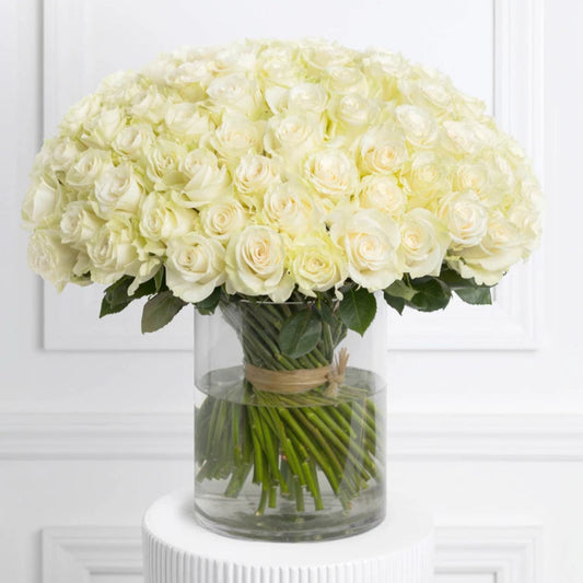 White Roses  - Wrapped or Vase Arrangements